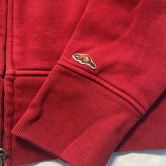 Roots Whistler Hoodie - Picture 4 of 10